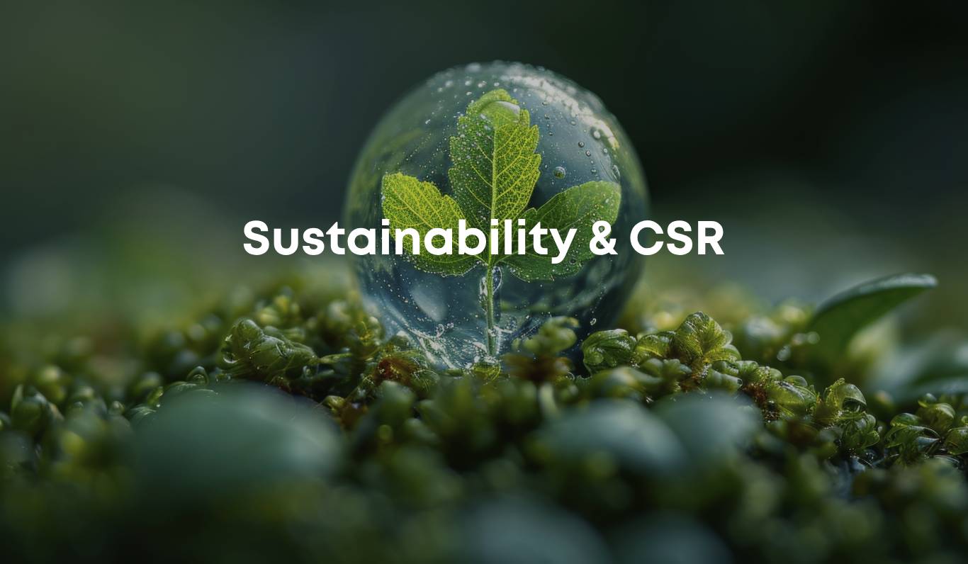 sustainability image